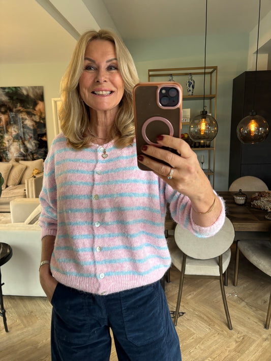 Veste roze met licht blauw streep